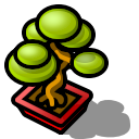 misc - bonsai